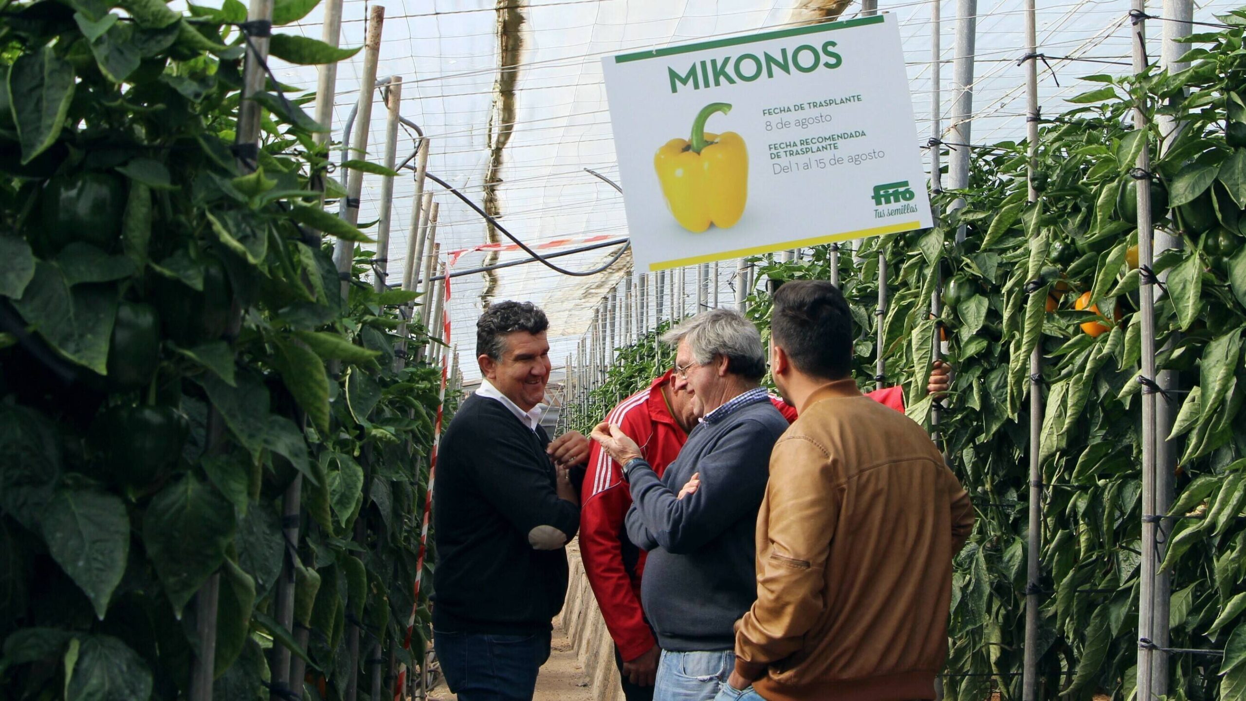 PROFESIONALES VISITANDO LAS FINCAS 2|MADAGASCAR|PROFESIONALES VISITANDO LAS FINCAS 1|MIKONOS-2